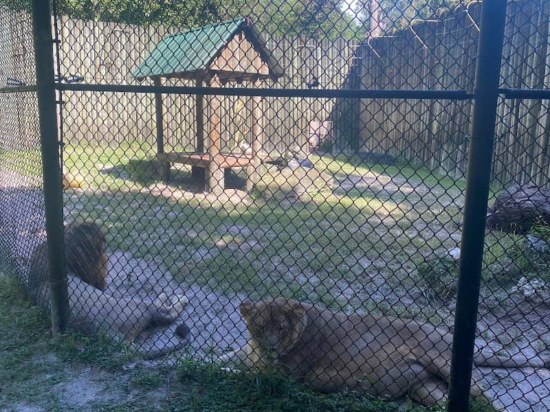 Zoo nature center - Image 1
