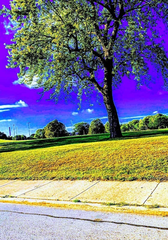 Hart Park Green Space - Image 1