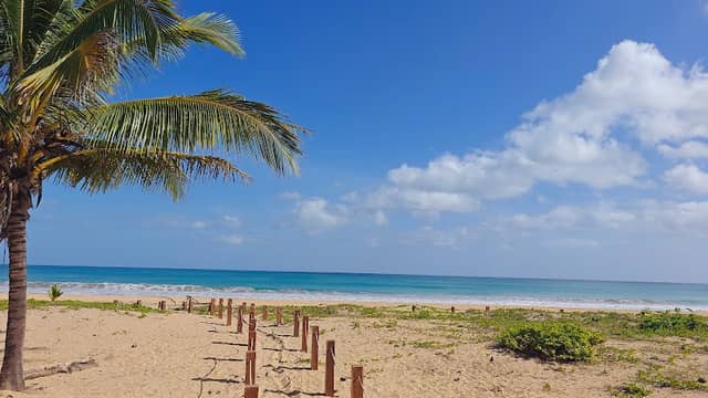 Playa Esmeralda Tortugas - Image 1