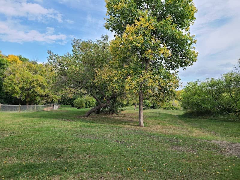 Woodlawn Off-leash Dog Park - Image 1