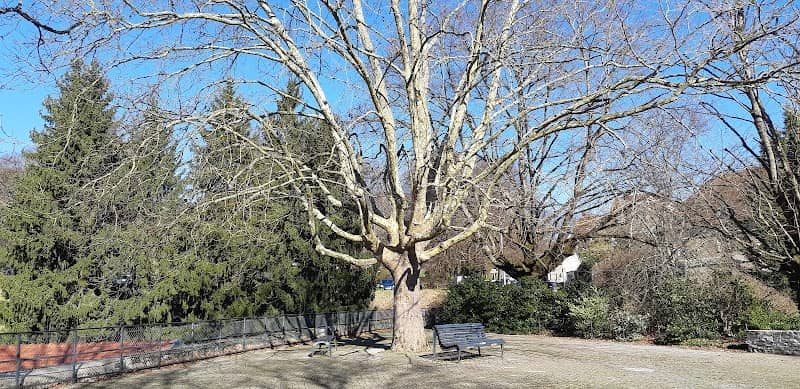 Square Gratteris - Image 1