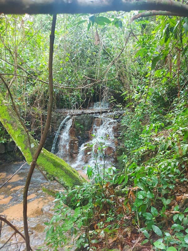 Cachoeira Parque Florianópolis - Image 1