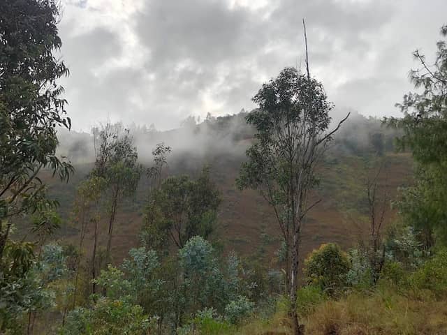 Llaver - Image 1