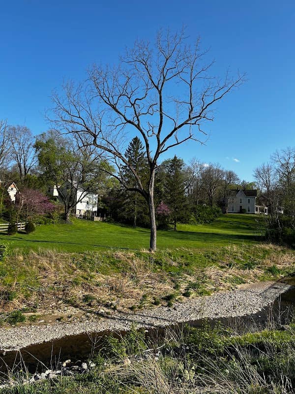 GroundHog Hill - Image 2