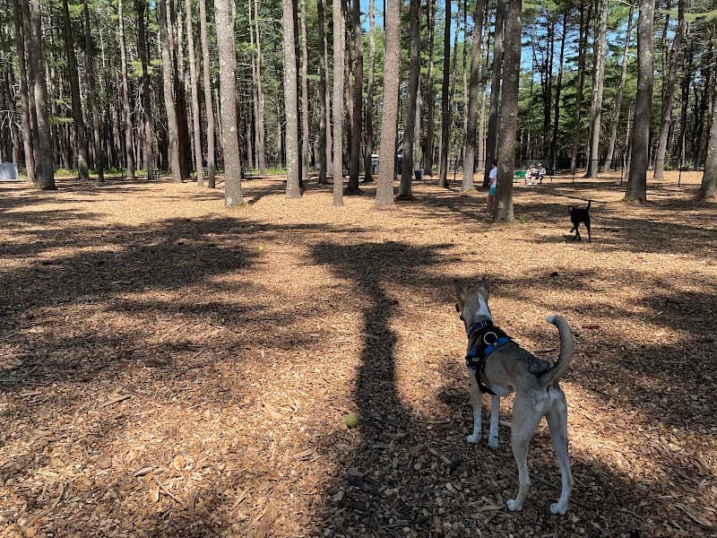 North Attleboro Dog Park & Trails - Image 2