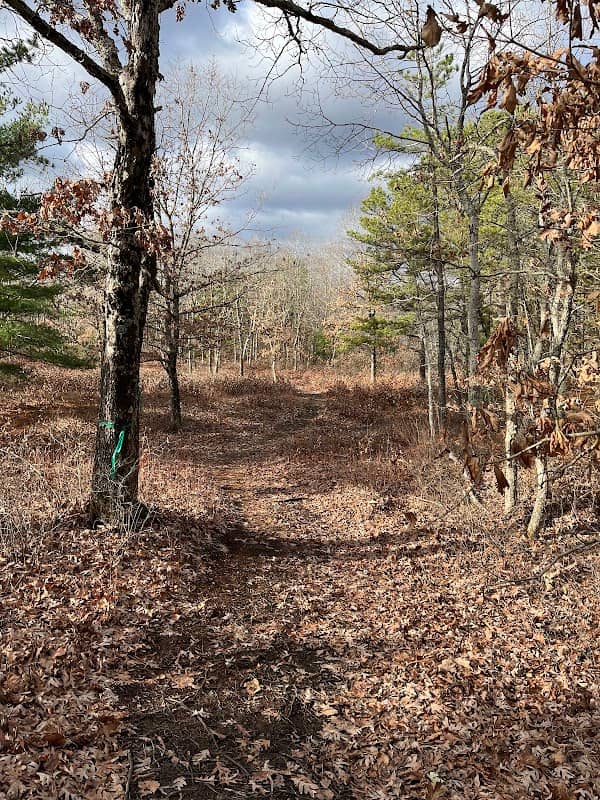 North Attleboro Dog Park & Trails - Image 1