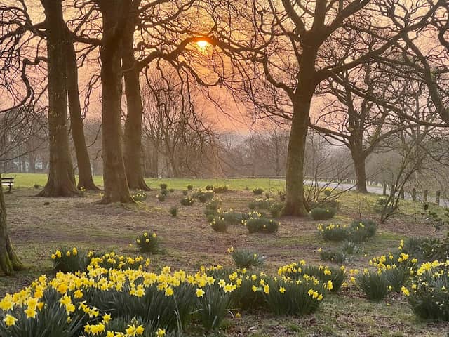 Ridgmont Park - Image 2