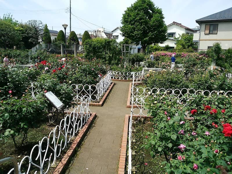 Adachikuritsuseiwabara Park - Image 2