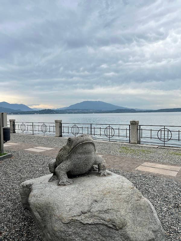 Belgirate Toad statue - Image 1