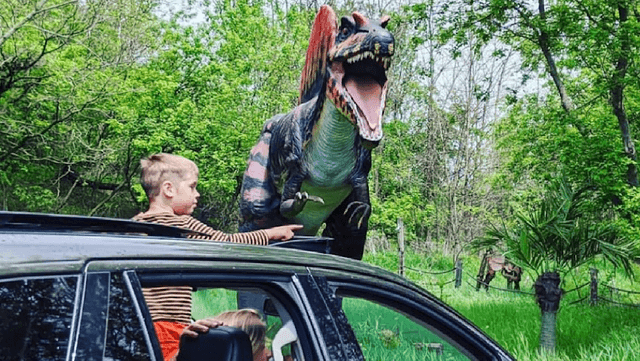 Canada’s Dinosaur Park - Image 1