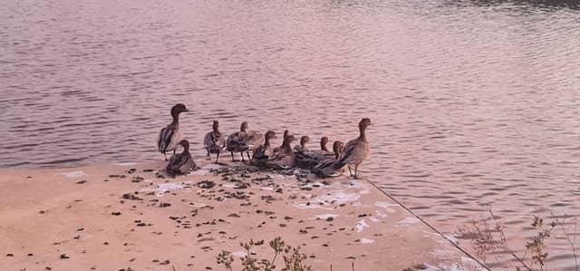 Waterbird Park - Image 1