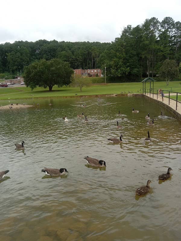 Piedmont Skate Park - Image 1