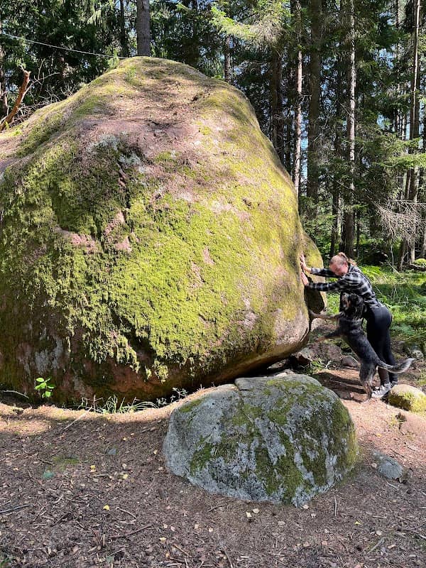 Suure Tõllu kerisekivi - Image 1