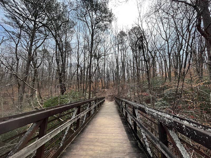 Vickery Creek Trail Bridge - Image 1