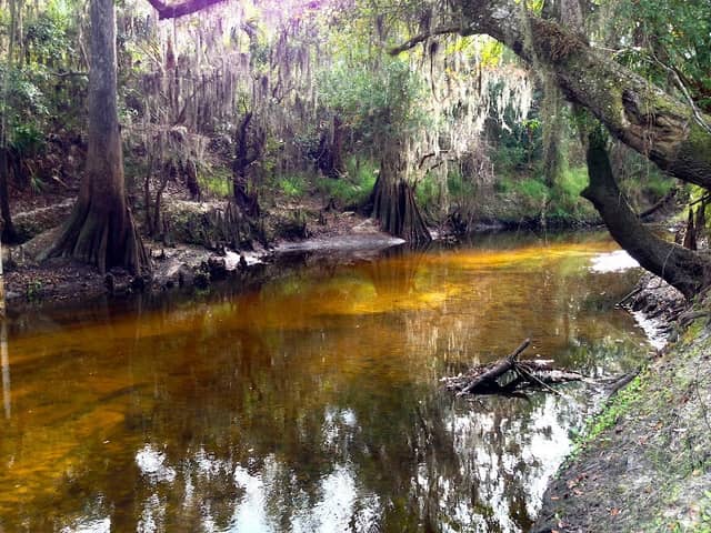 Paynes Creek Historic State Park - Image 2
