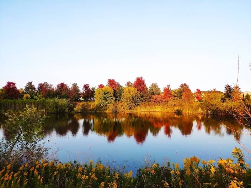 Mount Joy Lake - Image 1