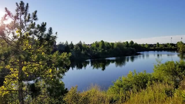 Mount Joy Lake - Image 2