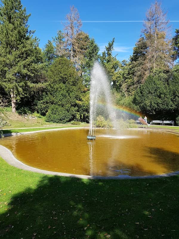Springbrunnen im Stadtpark - Image 1