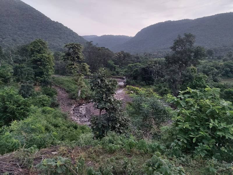 Chichati Waterfall - Image 3