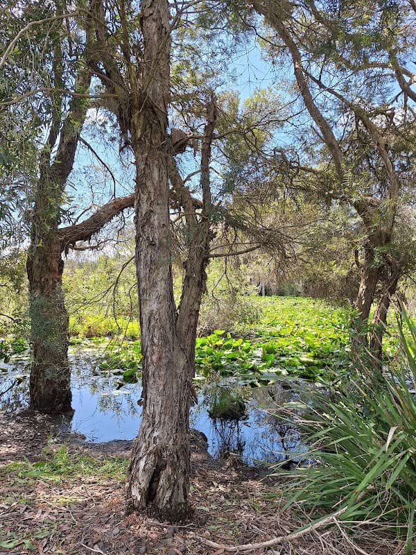 Somerset Wetlands - Image 1