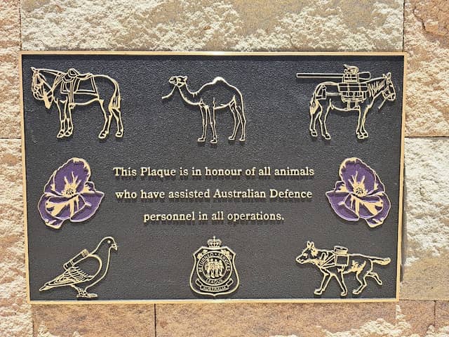 Agnes Water Cenotaph - Image 2