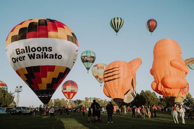 Balloons Over Waikato - Image 2