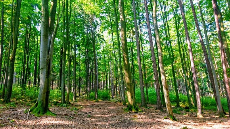 Vysoká Běta - Image 1