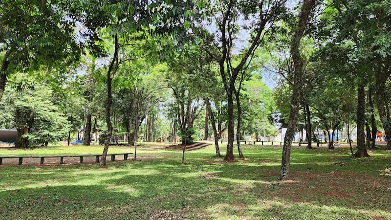 SQUARE Parigot DE SOUZA - Image 1