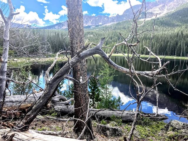 Lost Lake - Image 3