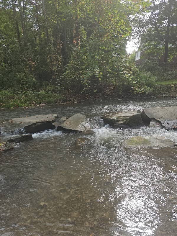 Williams Park Village Of Dansville - Image 2