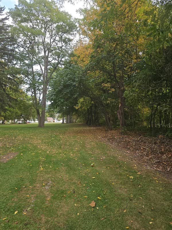 Williams Park Village Of Dansville - Image 1