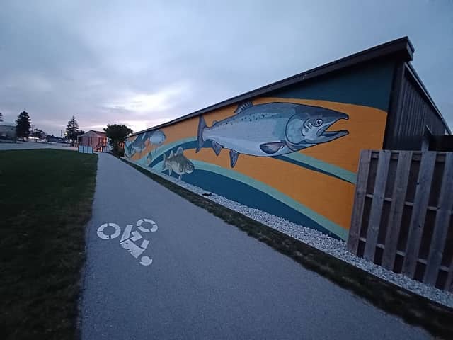 Fish Mural - Image 1
