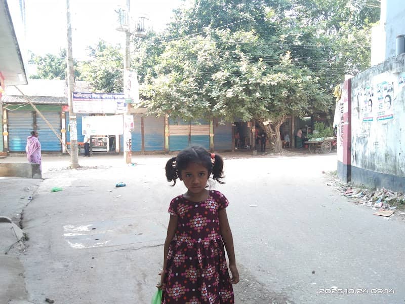 কাটাখালী বটতলা - Image 1