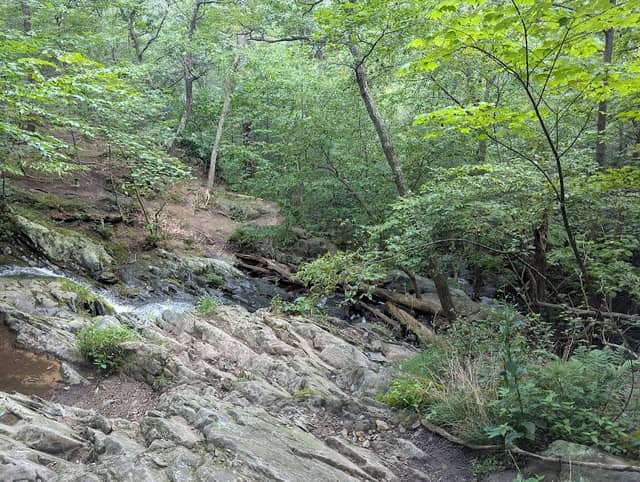 Dickey Ridge Trail - Image 1