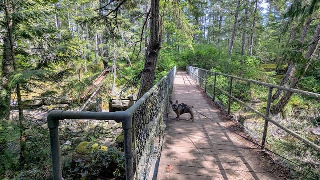 Cable Bay Trail bridge - Image 1