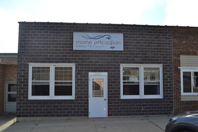 Mane Attraction - Image 1