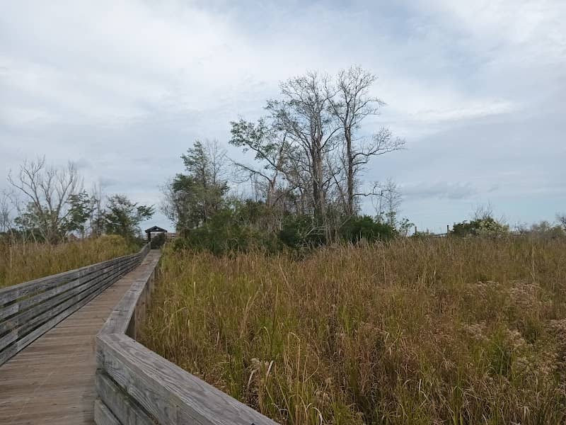 Lawson Creek Park - Image 2