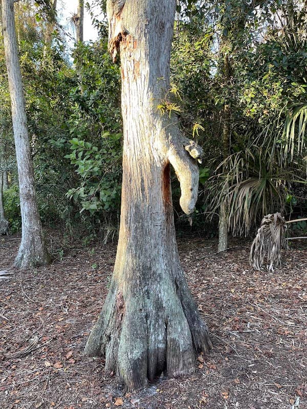 Wetlands Park - Image 3