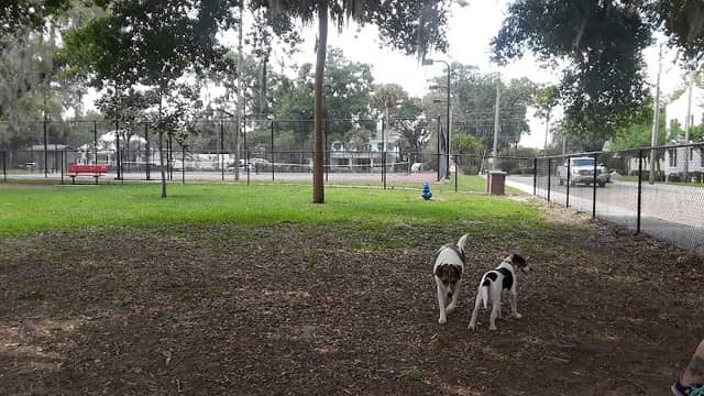 Dade City Dog Park - Image 3