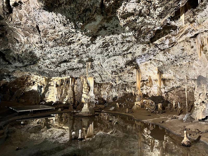Punkva caves - Image 1