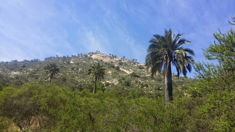 La Campana, Sector Cajón Grande National Park - Image 2