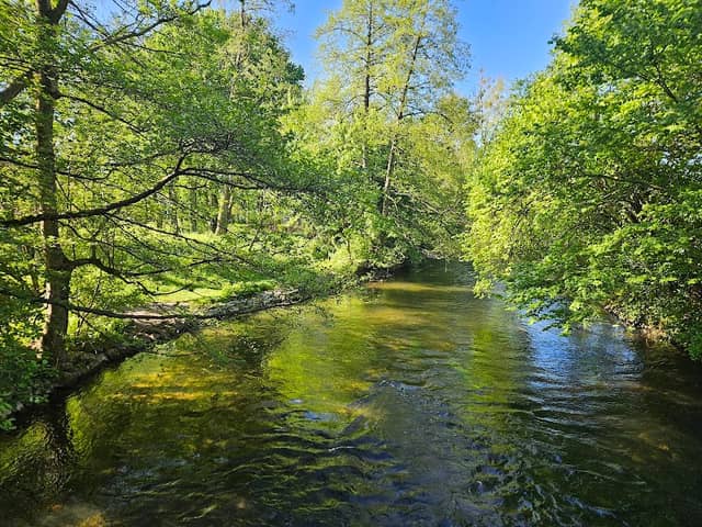 Römersteg Gauting - Image 1