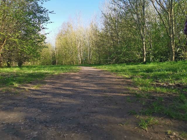Mawsley Woodland Trail - Image 2