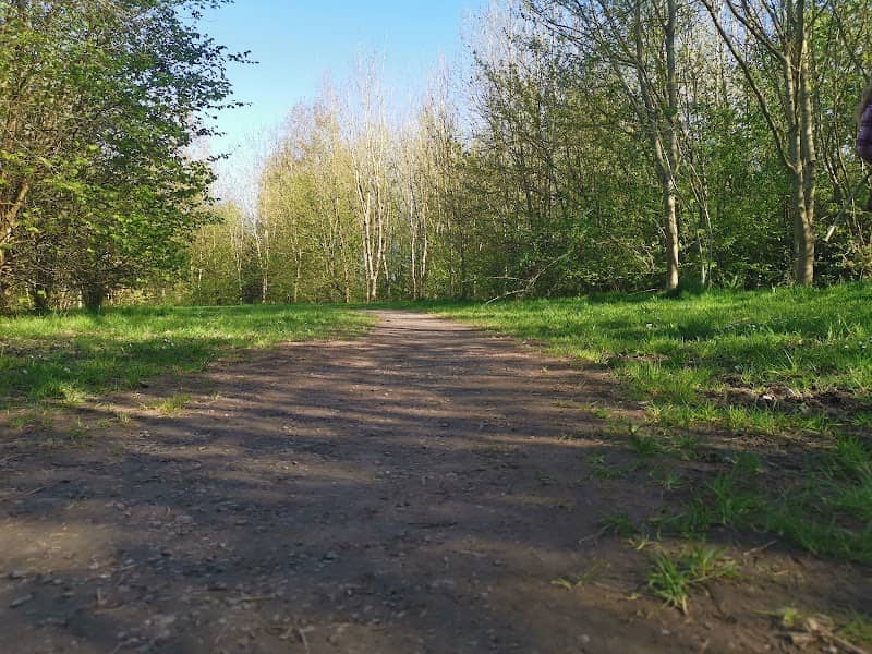 Mawsley Woodland Trail - Image 2