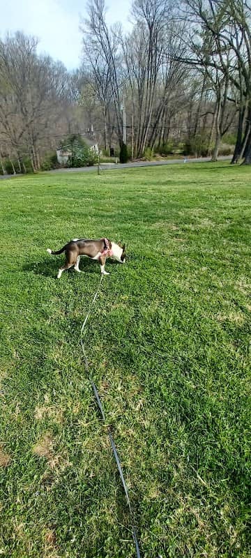 Crestmont Park - Image 2