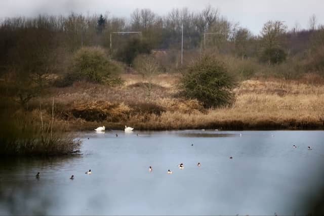 Lightshaw Meadows - Image 1