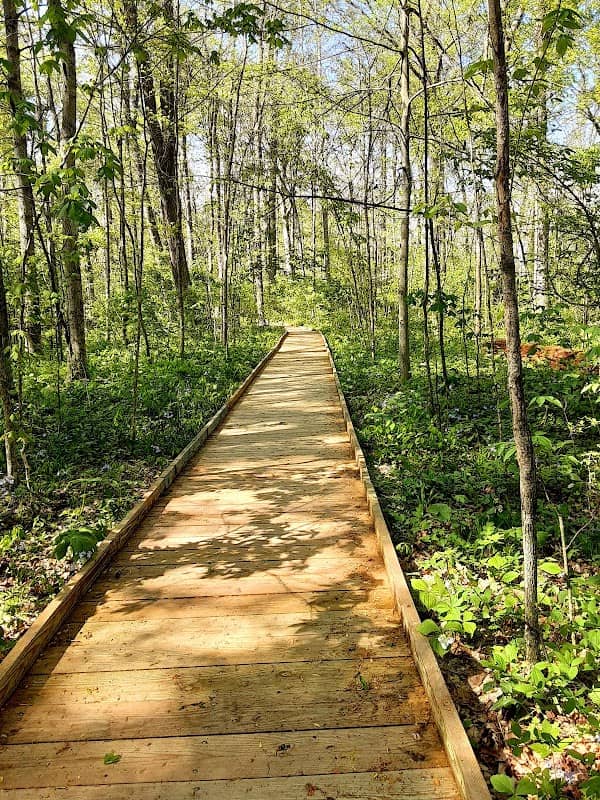Garbry Big Woods Sanctuary - Image 2