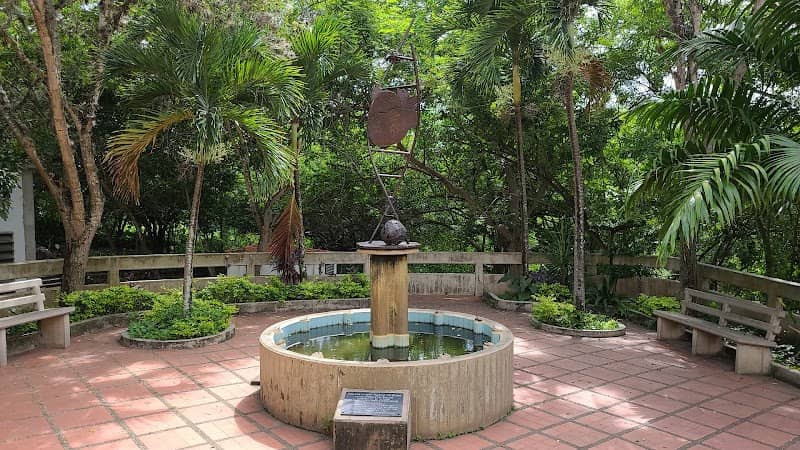 Nuevo Palpitar - Image 3