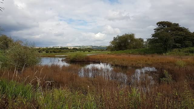 Moors Nature Reserve - Image 1