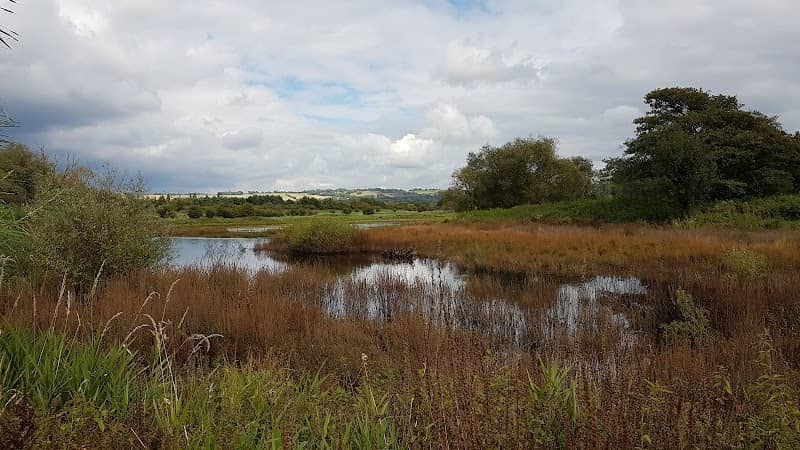 Moors Nature Reserve - Image 1